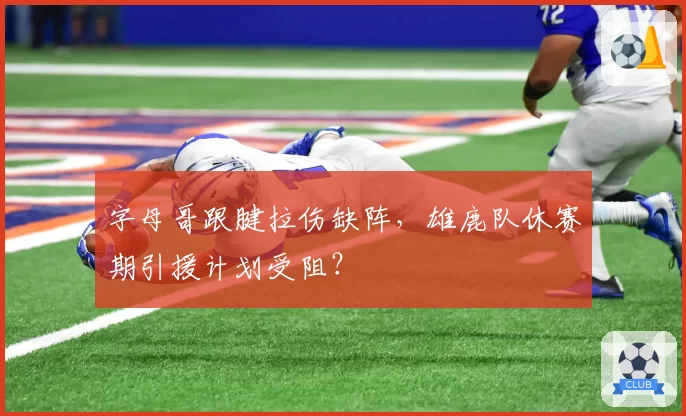字母哥跟腱拉伤缺阵,雄鹿队休赛期引援计划受阻?