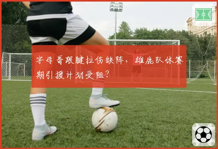 字母哥跟腱拉伤缺阵,雄鹿队休赛期引援计划受阻?