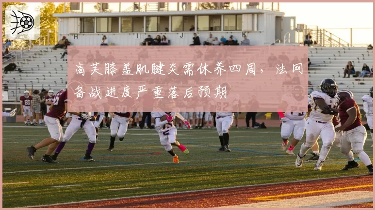 高芙膝盖肌腱炎需休养四周,法网备战进度严重落后预期